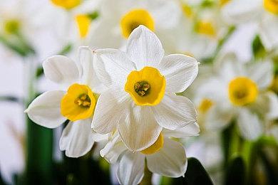 曝《血源》今年登陆PC＆PS5 《血源2》没有开发